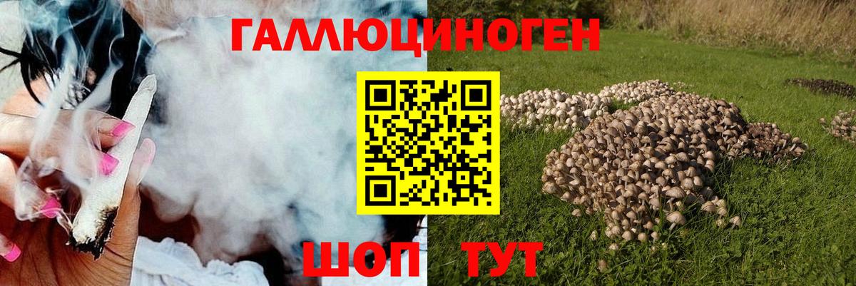 Псилоцибиновые грибы мицелий Киселёвск
